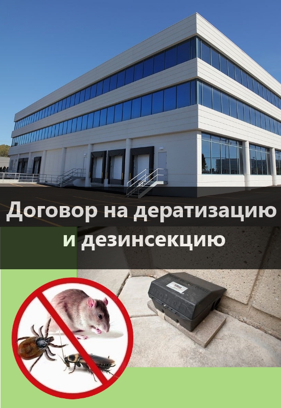 дератизация и дезинсекция воронеж